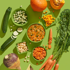 FRED Gemüse-Mix 2er Set mit frischem Gemüse und bunter Gemüsesuppe auf grünem Hintergrund, ideal für Hundeernährung.