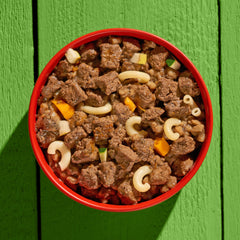 Veganes Hundefutter GREEN PLANET Kein Rind in roter Schüssel mit pflanzlichen Stückchen und Gemüse auf grünem Hintergrund.