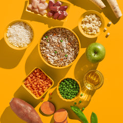 FRED Huhn mit Reis für Junghunde in bunten Schalen, gesunde Zutaten auf gelbem Hintergrund, ideal für die Wachstumsphase.