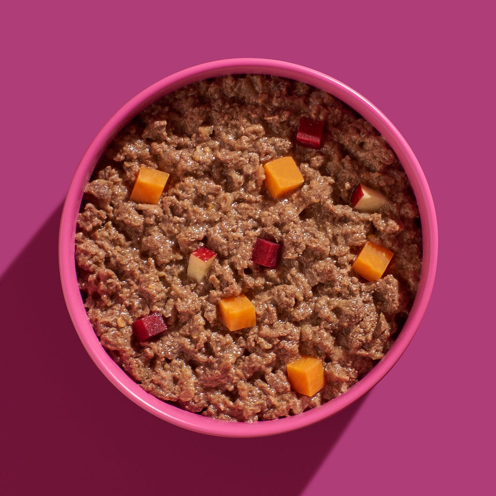 FRED Pferd mit Süßkartoffeln in einer pinken Schüssel, cremige Masse mit buntem Gemüse für empfindliche Hunde.