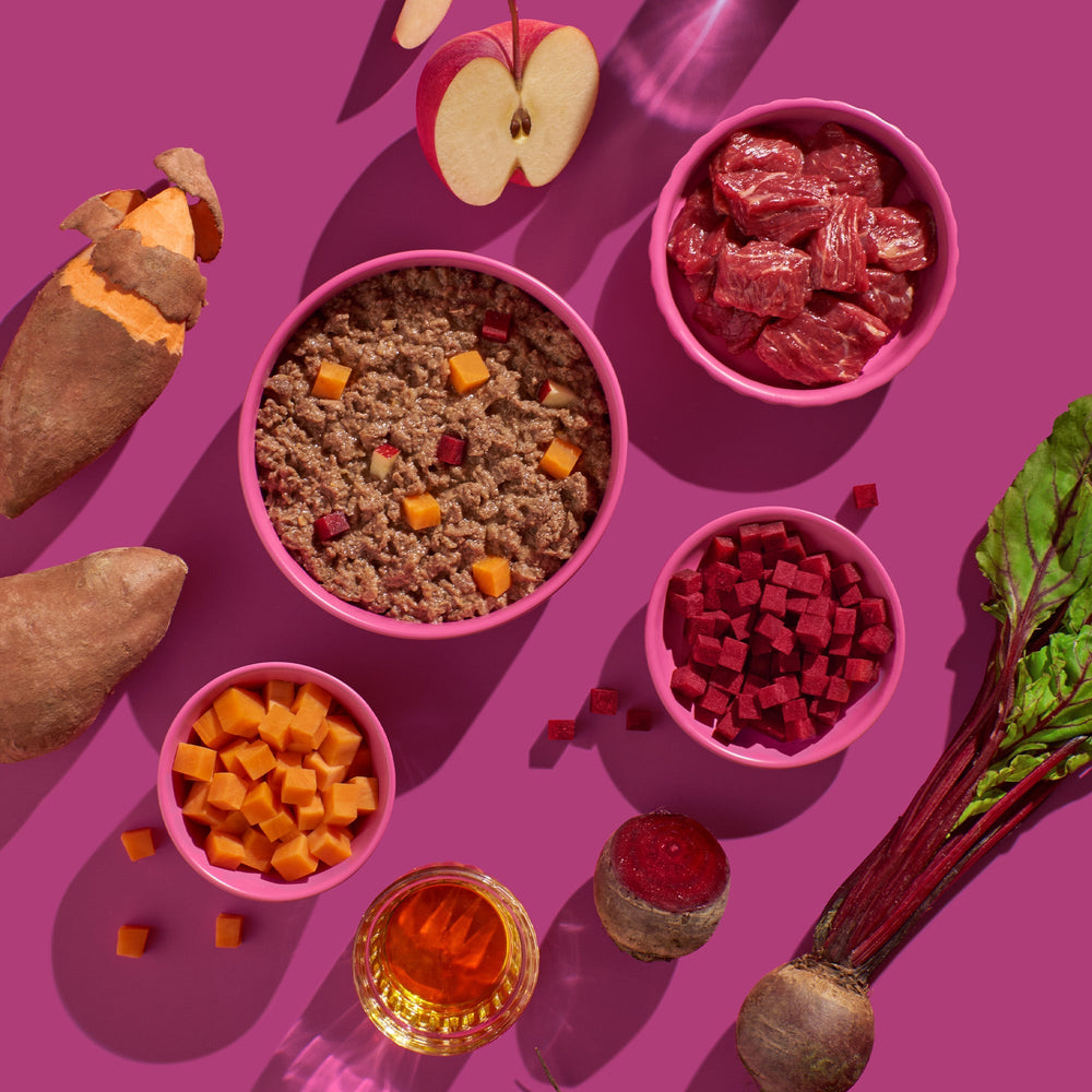 FRED Pferd mit Süßkartoffeln, fettarmes Nassfutter für empfindliche Hunde, ansprechend präsentiert mit frischen Zutaten.