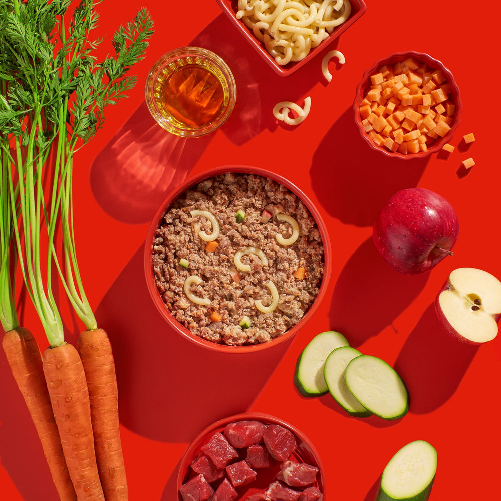 FRED Rind mit Nudeln in einer Schüssel, umgeben von frischem Gemüse und Obst auf rotem Hintergrund, für Hunde geeignet.