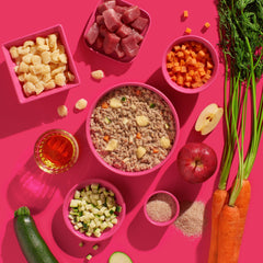 FRED Schwein mit Spätzle für Hunde – herzhaftes Menü aus Schweinefleisch und Spätzle auf buntem Hintergrund, ideal für anspru