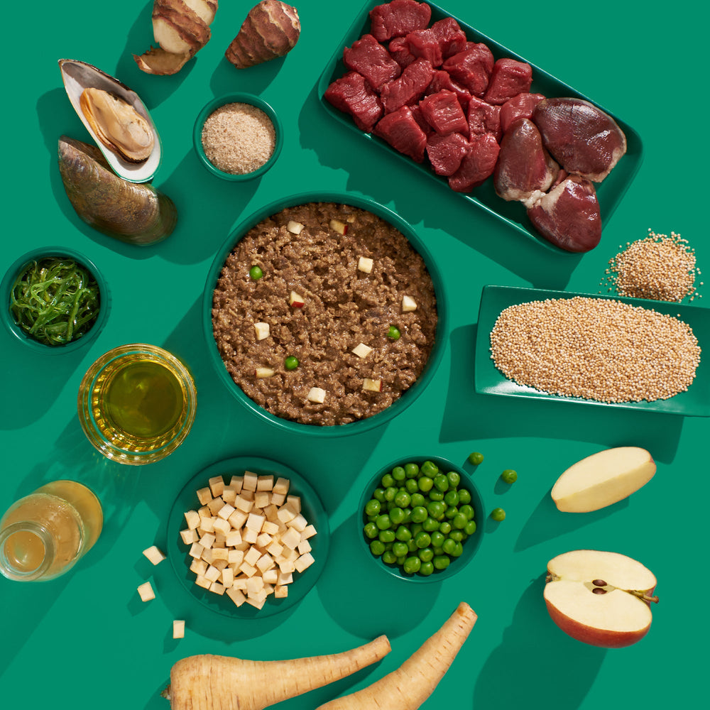 FRED Hirsch & Pute Seniorfutter für ältere Hunde, unterstützt Mobilität und Wohlbefinden mit hochwertigen Zutaten.