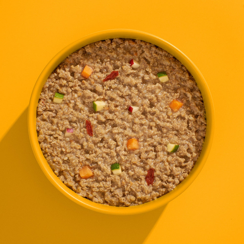 Nassfutter FRED Huhn (SENIOR) für ältere Hunde, unterstützt Vitalität und Gesundheit, mit Obst und bunten Zutaten.