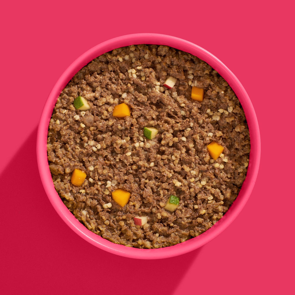 FRED Schwein Seniorfutter in pinker Schüssel mit gehacktem Fleisch und buntem Gemüse für alte Hunde.