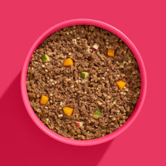 FRED Schwein Seniorfutter in pinker Schüssel mit gehacktem Fleisch und buntem Gemüse für alte Hunde.