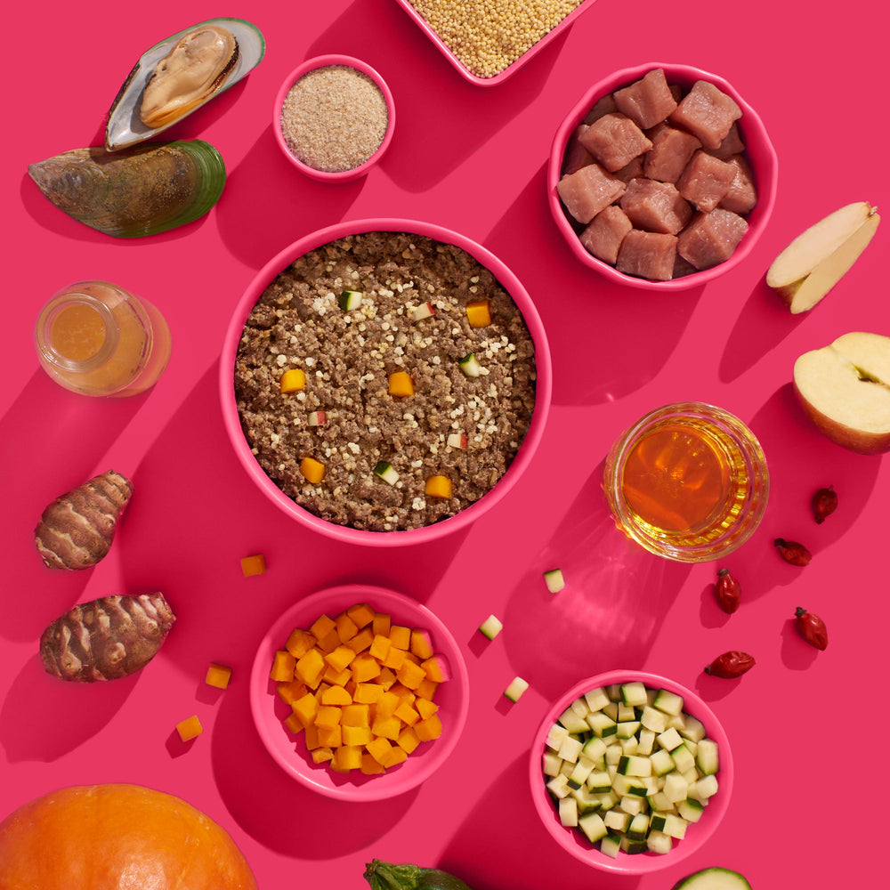 FRED Schwein Seniorfutter für aktive ältere Hunde mit gesundem Gemüse und Zutaten auf pinkem Hintergrund.