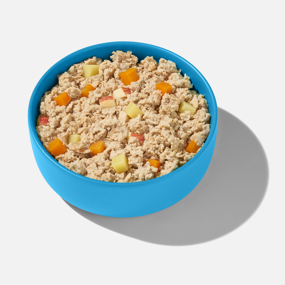 FRED VET Adipositas in blauer Schüssel mit cremigem Futter und buntem Obst, ideal für übergewichtige Hunde.