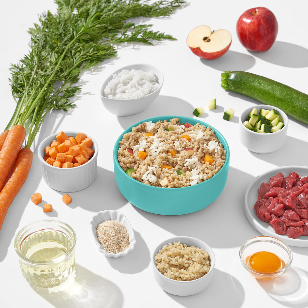 FRED VET Low Protein in türkisfarbener Schüssel mit frischen Zutaten für nierenbelastete Tiere zur Diätunterstützung.