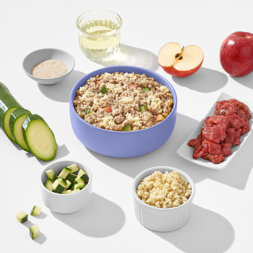 FRED VET Intestinal Diät für Hunde mit Pankreasproblemen, unterstützt die Verdauung und Nährstoffaufnahme.