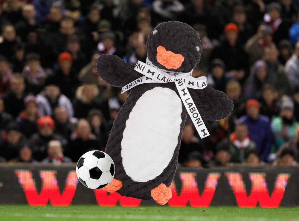 Großes plüschiges Pinguinspielzeug für Hunde, das einen Fußball kickt, mit 'LABONI'-Tuch im Hintergrund einer Menschenmenge.