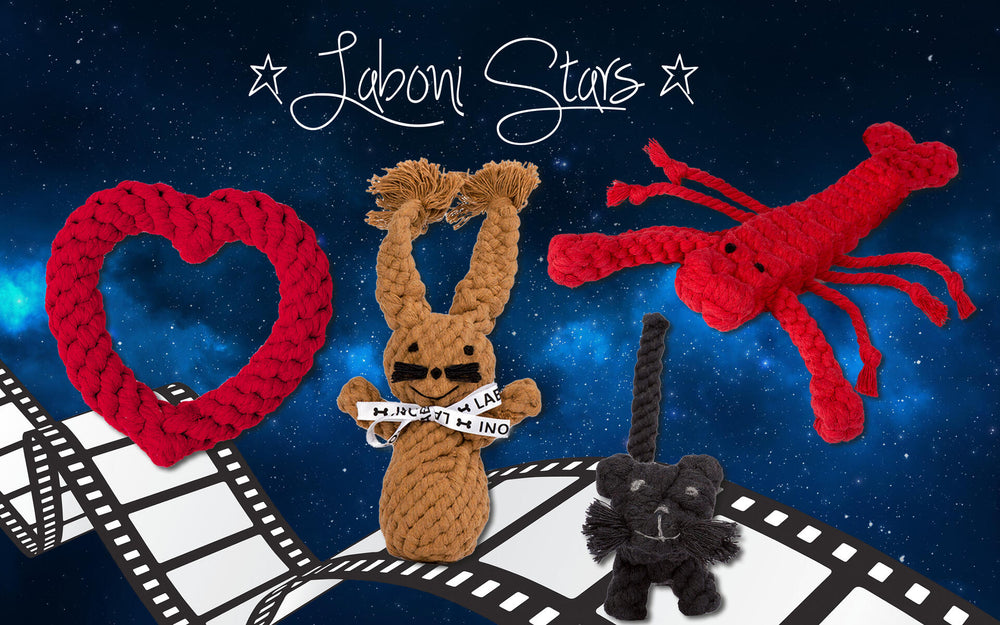 ALT-Text: Kater Casanova - geflochtene Spielzeuge für Hunde, darunter Herz, Hase und Hummer auf sternförmigem Hintergrund.