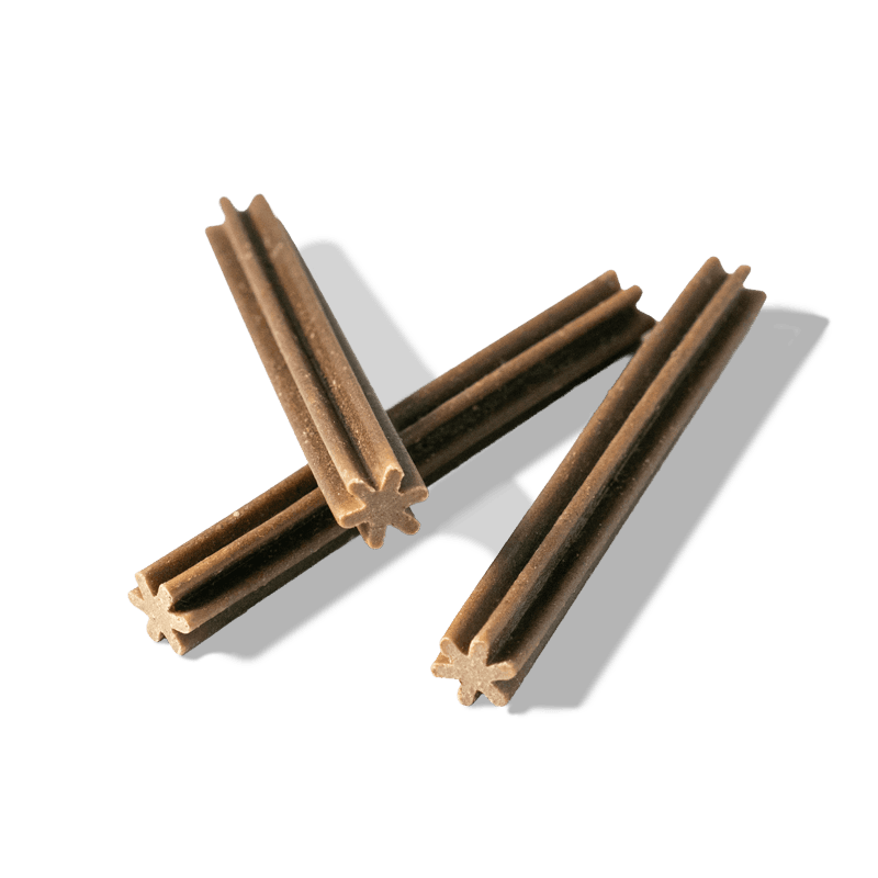 Braune FRED Dental Sticks mit sternförmigen Enden, angeordnet auf weißem Hintergrund.