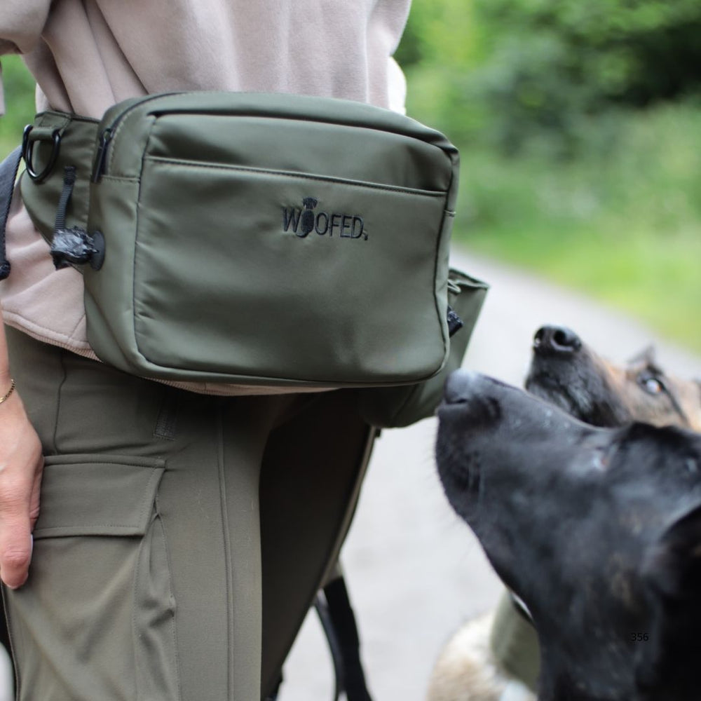 Multifunktionale Gassitasche in Grün, getragen von einer Person während eines Spaziergangs mit zwei neugierigen Hunden in der