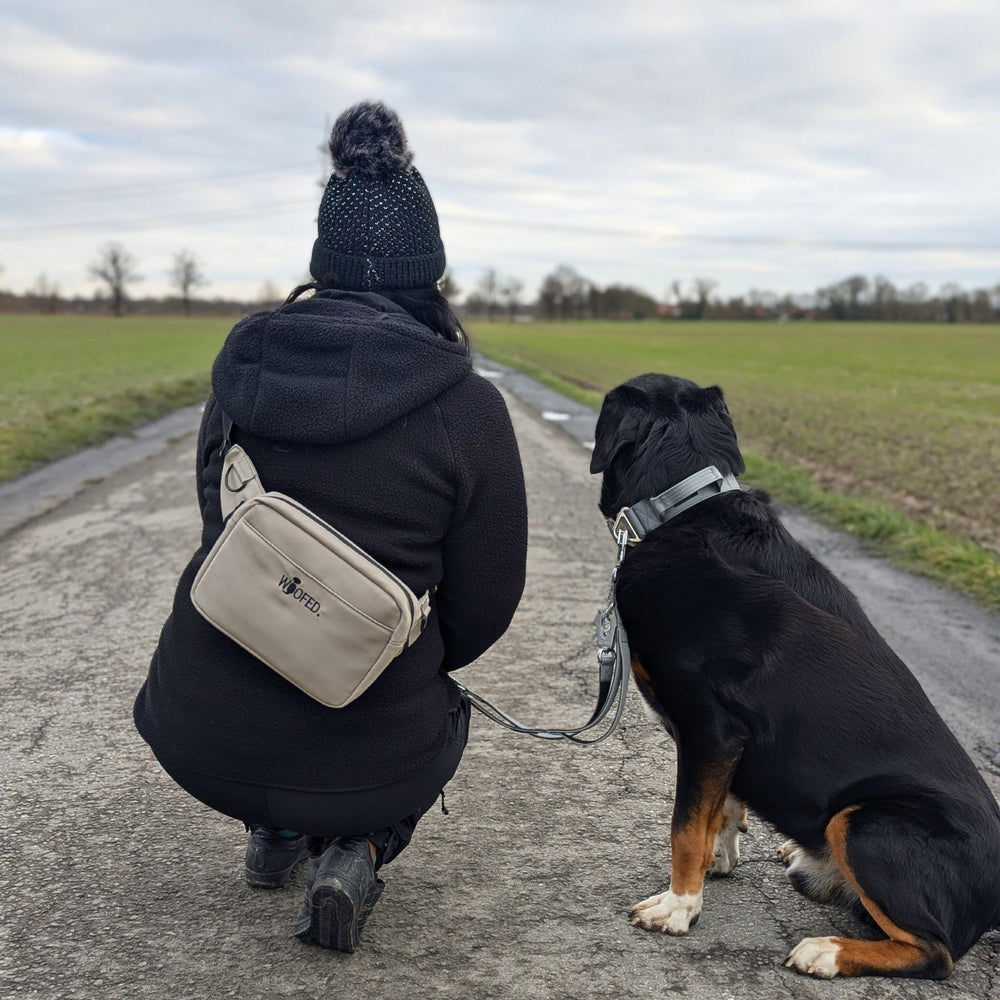 Person in schwarzer Jacke mit Hund auf Geschirr, kniet auf Weg, im Hintergrund Naturansicht.