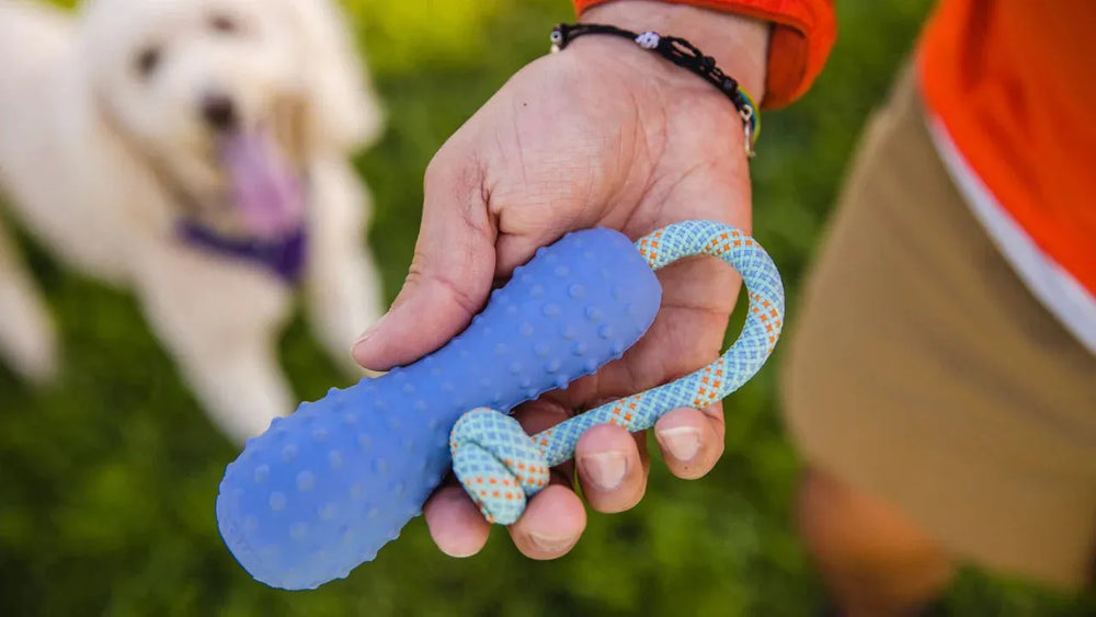 Blaues Gummi-Wurfspielzeug Gourdo™ mit Seil, ideal für Hunde, handgehalten mit strukturierter Oberfläche.