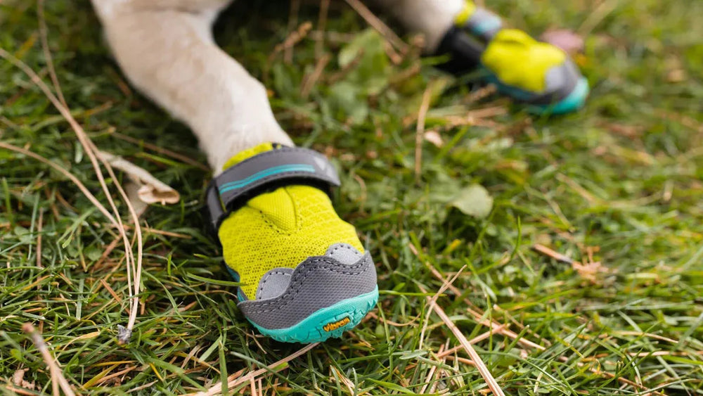 Bunte Grip Trex™ Hundeschuhe mit griffiger Sohle und Klettverschluss, ideal für Spaziergänge im Freien auf Gras.