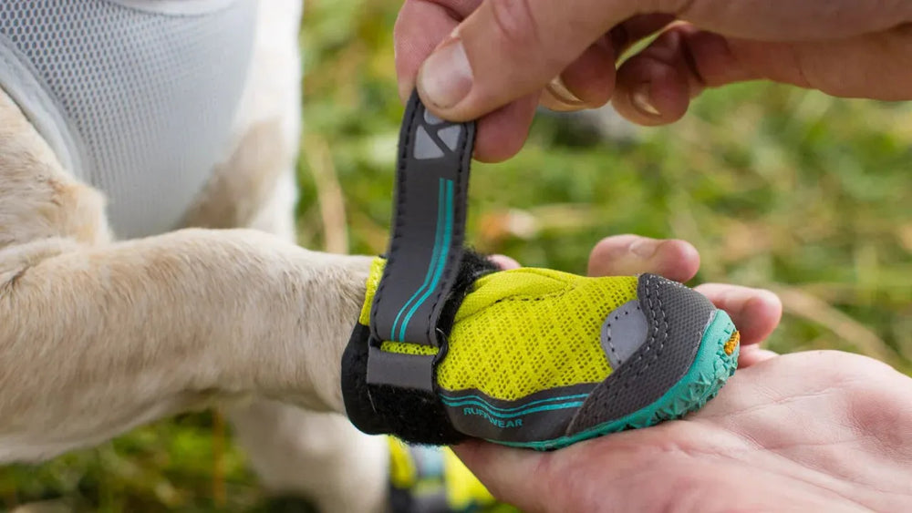 Grip Trex™ Hundeschuh in Hand gehalten, leuchtendes Gelb-Grün, rutschfeste Sohle für optimalen Pfotenschutz.