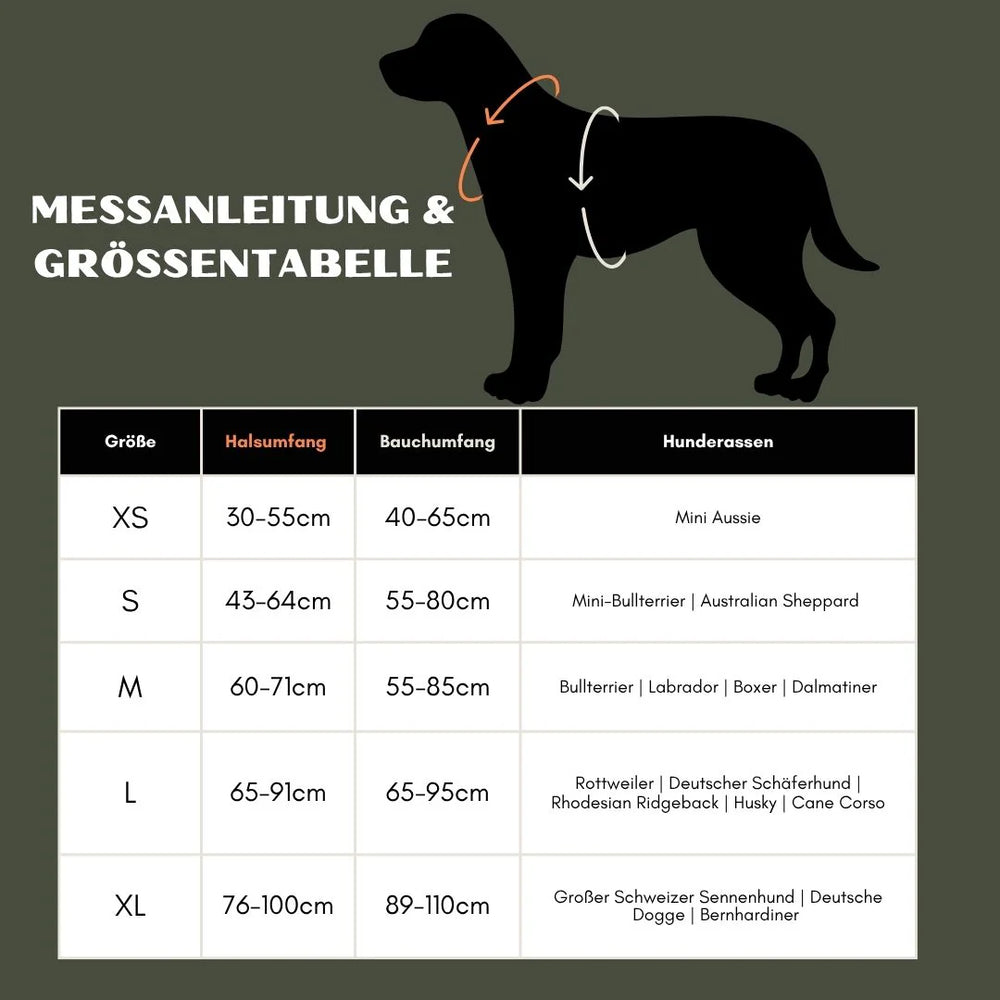 Messanleitung für Y-Hundegeschirr: Größenübersicht mit Hals- und Bauchumfängen für optimale Passform.