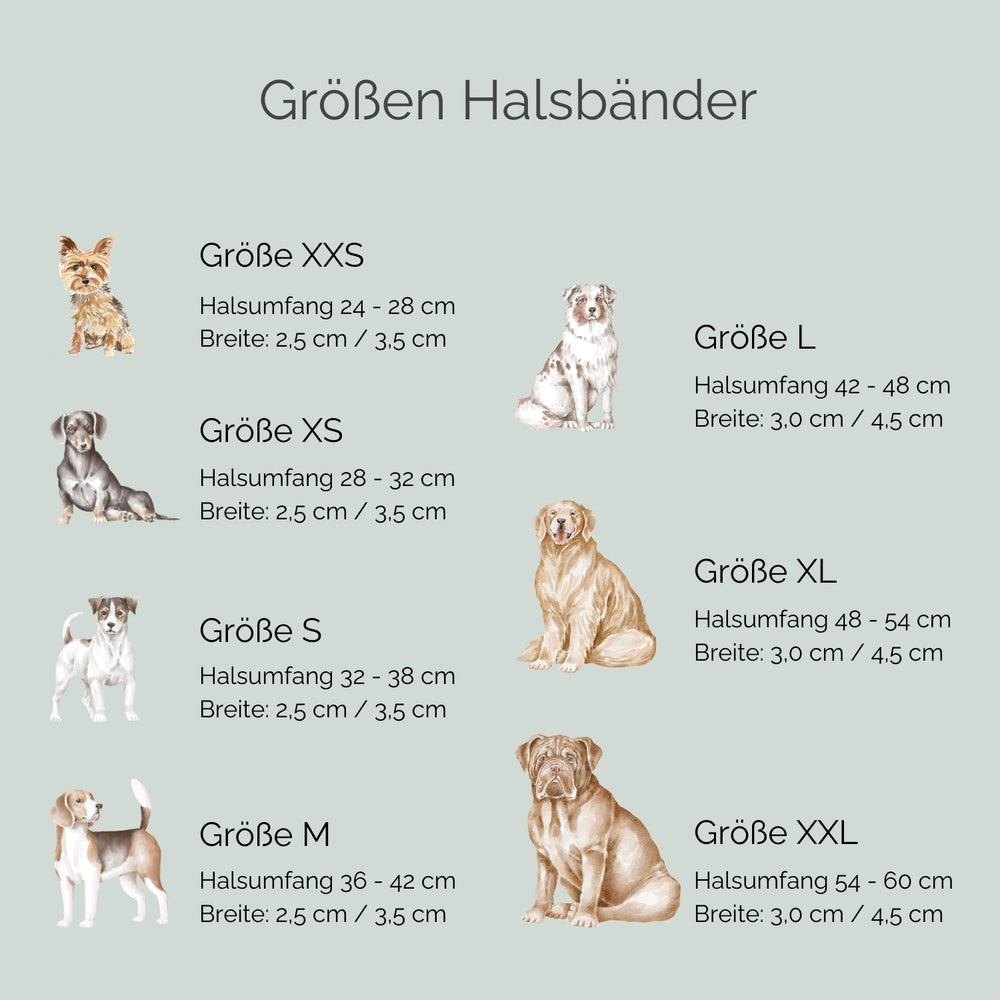 Übersicht der Größen für das Lederhalsband Wildfang: XXS bis XXL mit Halsumfang und Breite, begleitet von Hundillustrationen.