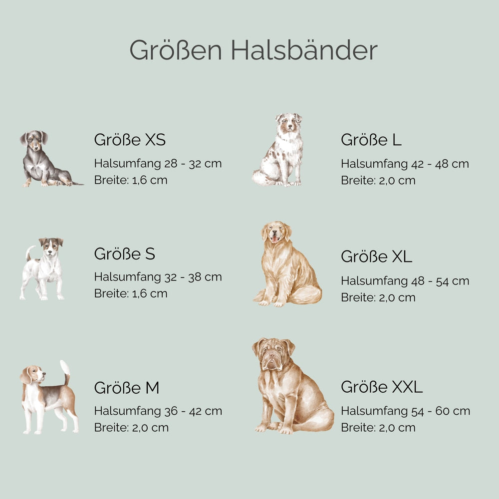 Übersicht der Größen und Maße von Tauhalsbändern für Hunde: XS bis XXL mit Kragenumfängen und Breiten.