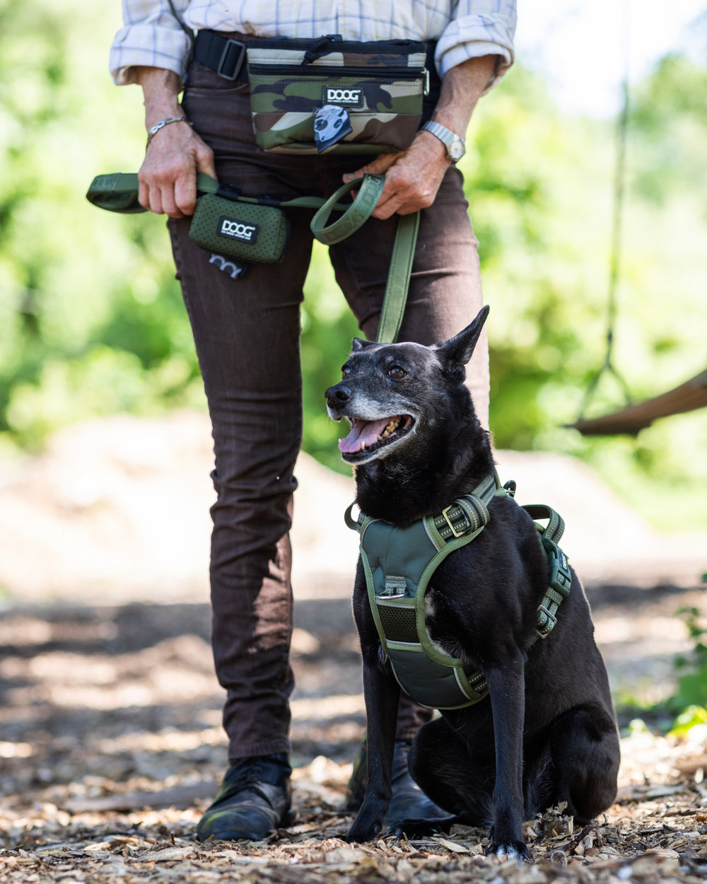 Person mit Bauchtasche hält Hundeleine, während Hund im grünen Geschirr neben ihr sitzt.