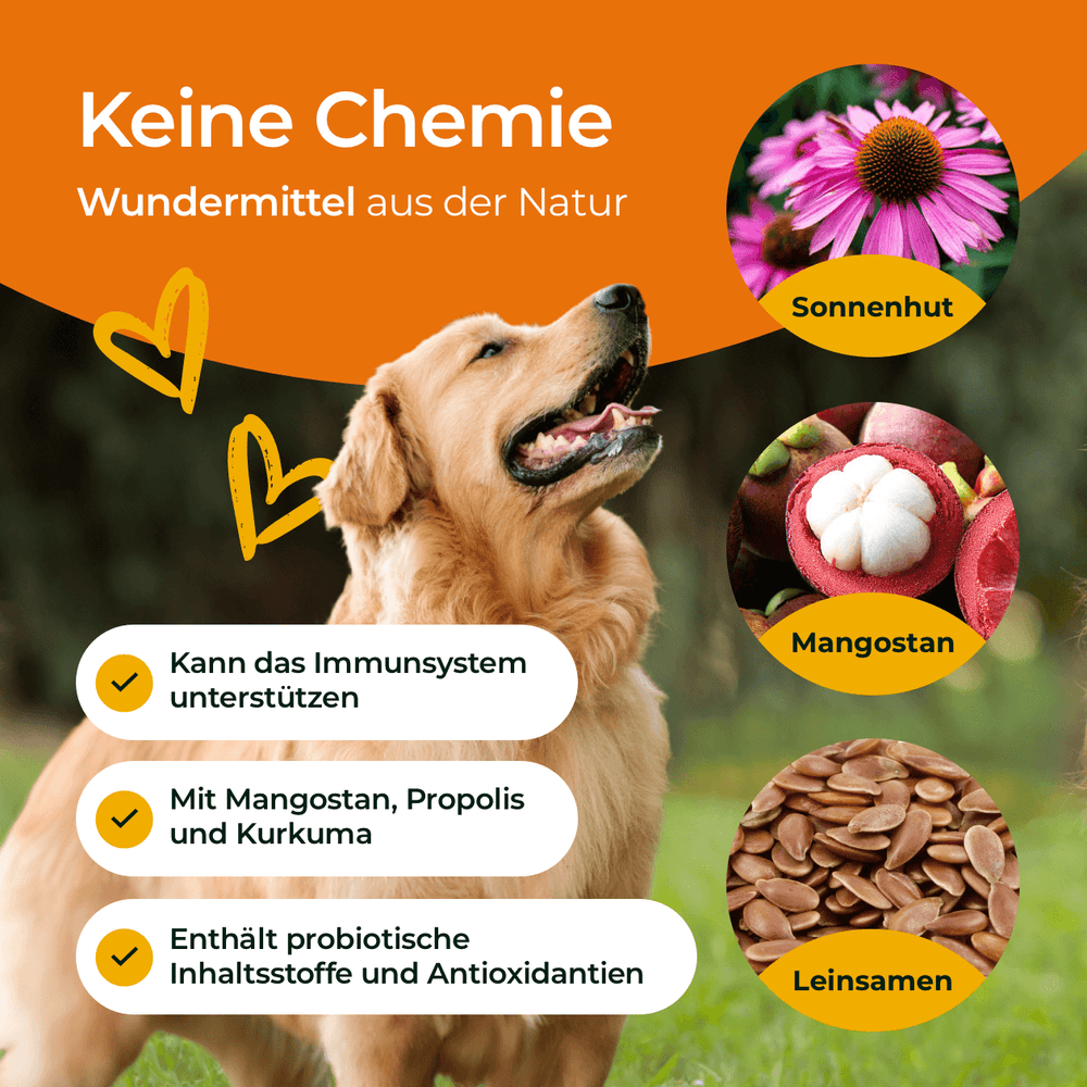 Aller-Immun mit Abwehrkomplex