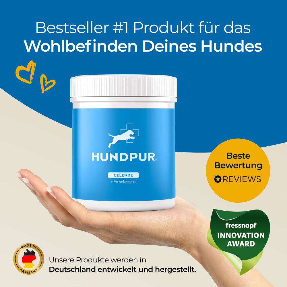 Gelenke mit Grünlippmuschel