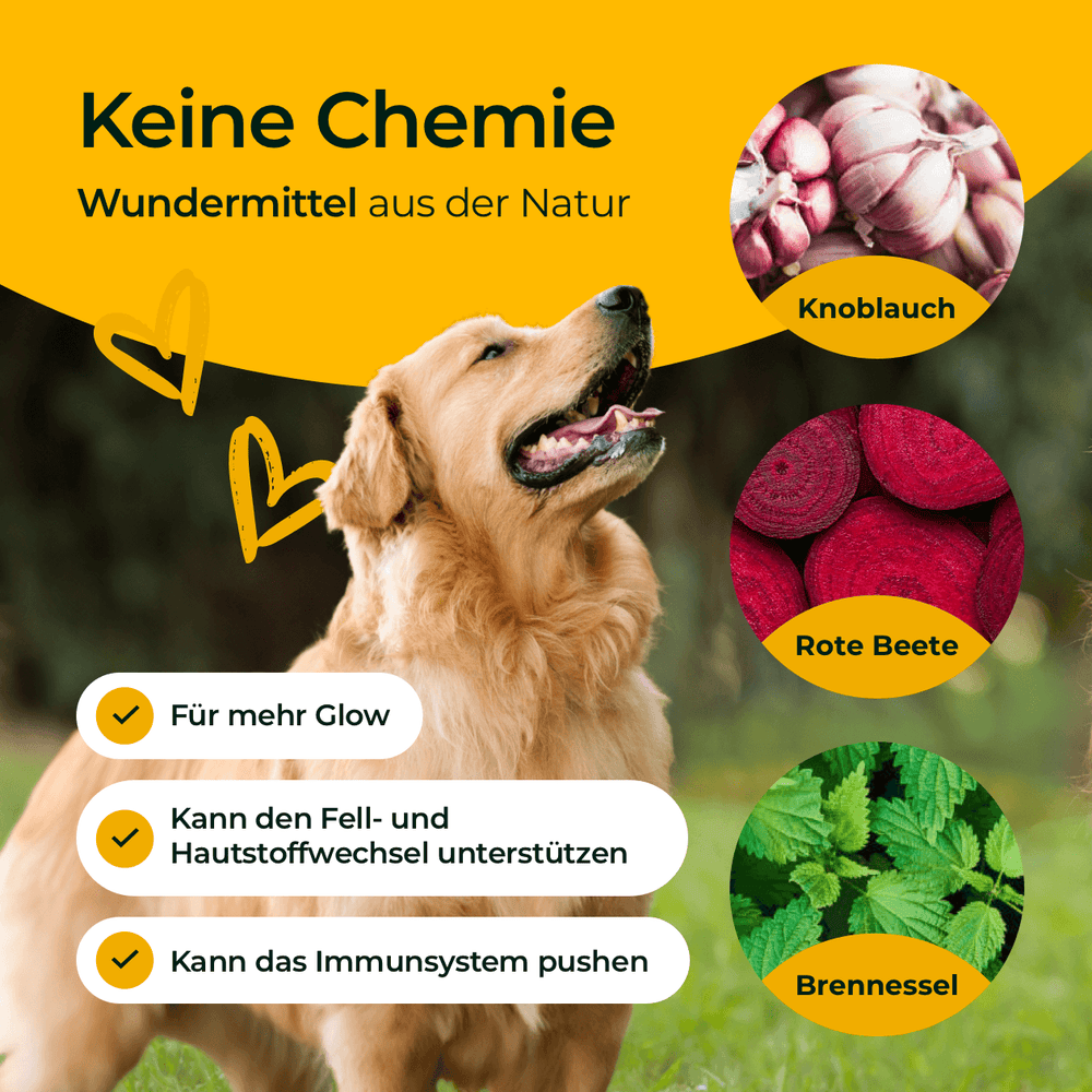 Haut und Fell