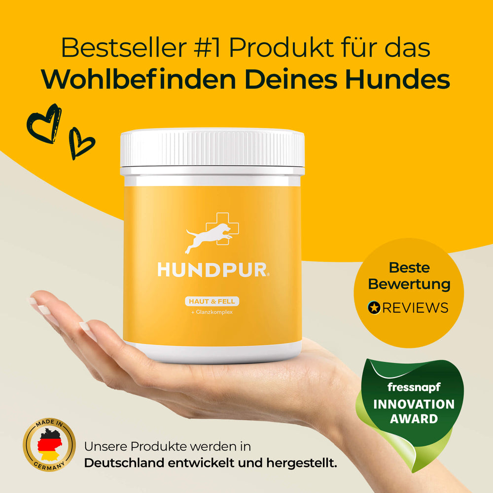 Haut und Fell