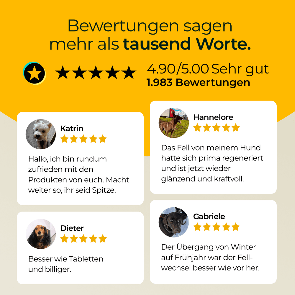 Haut und Fell