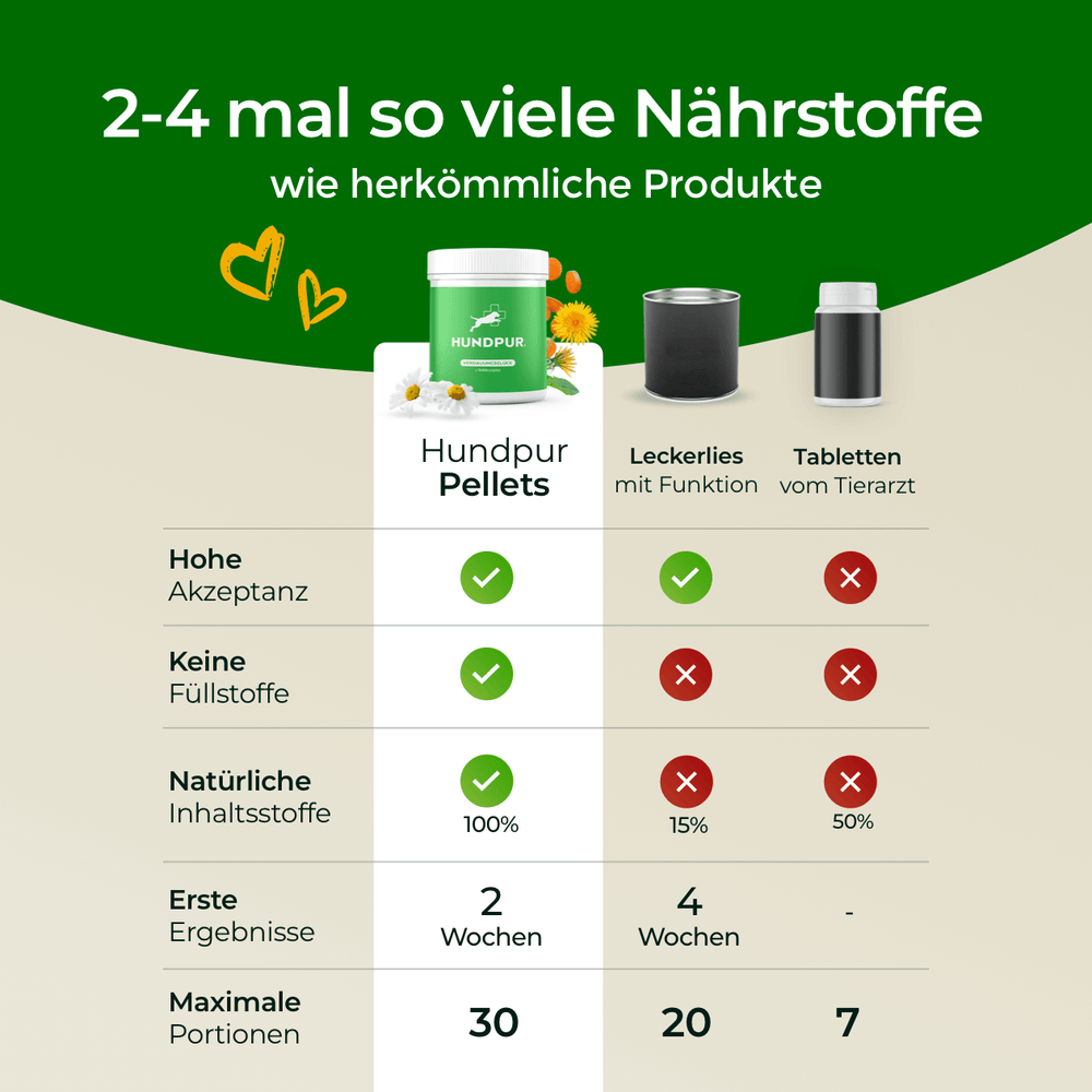 Verdauungsglück mit Probiotika