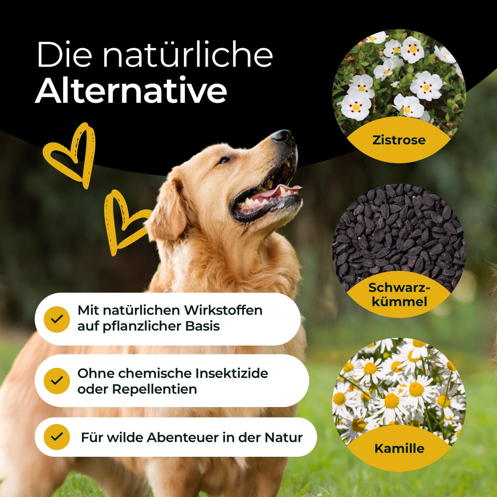 Z-Protect mit Kräuterkomplex