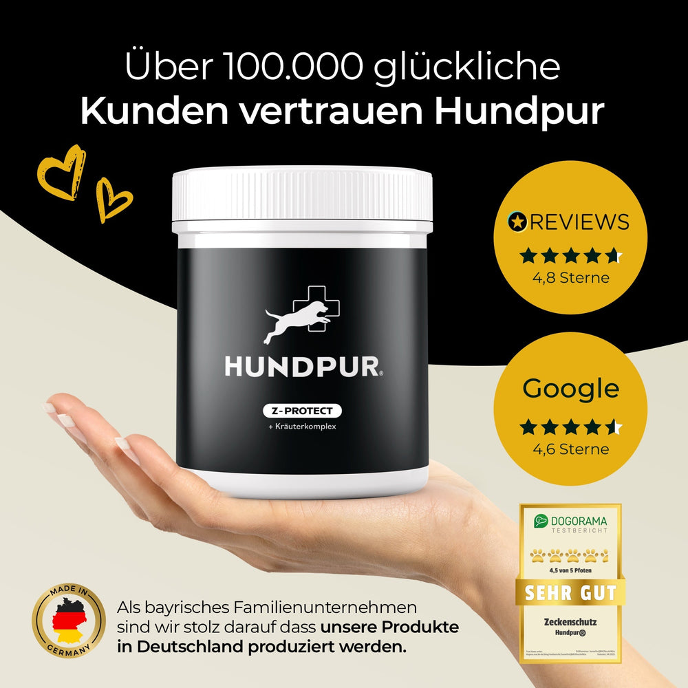 Z-Protect mit Kräuterkomplex