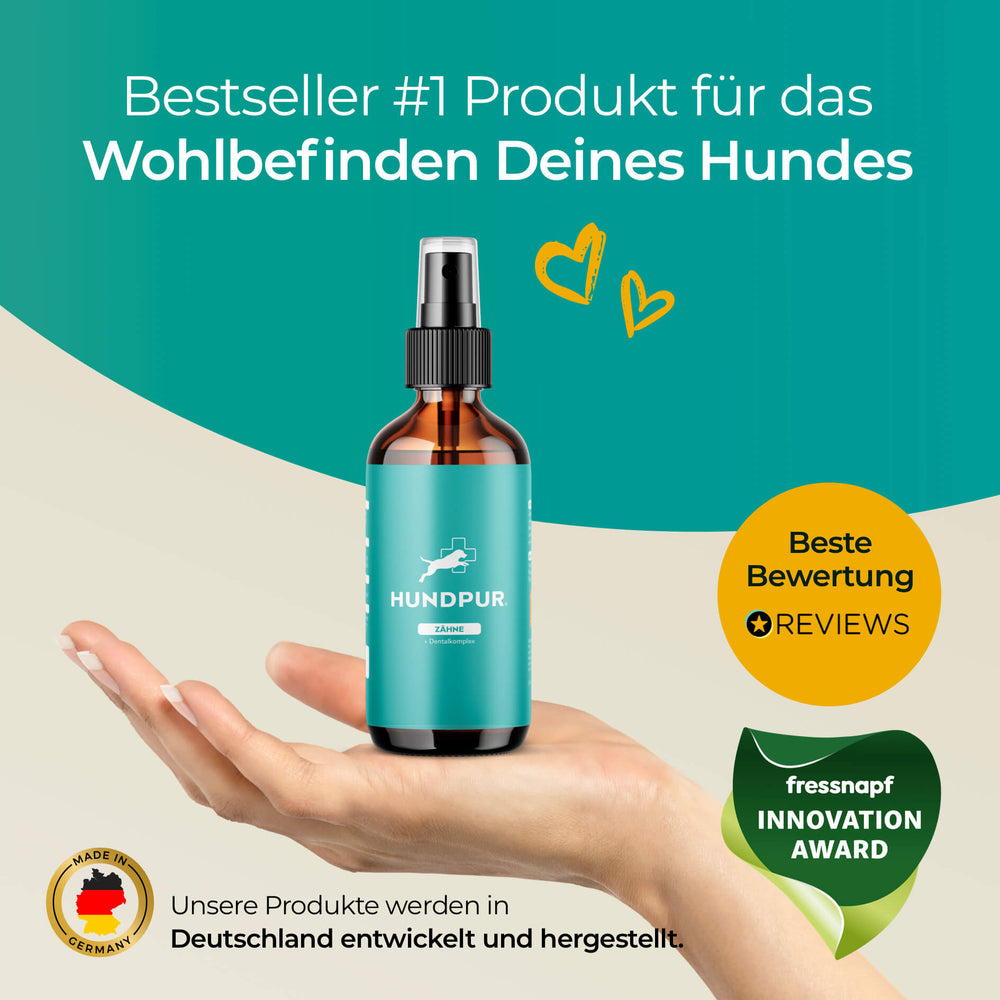 Dentalspray für Hunde