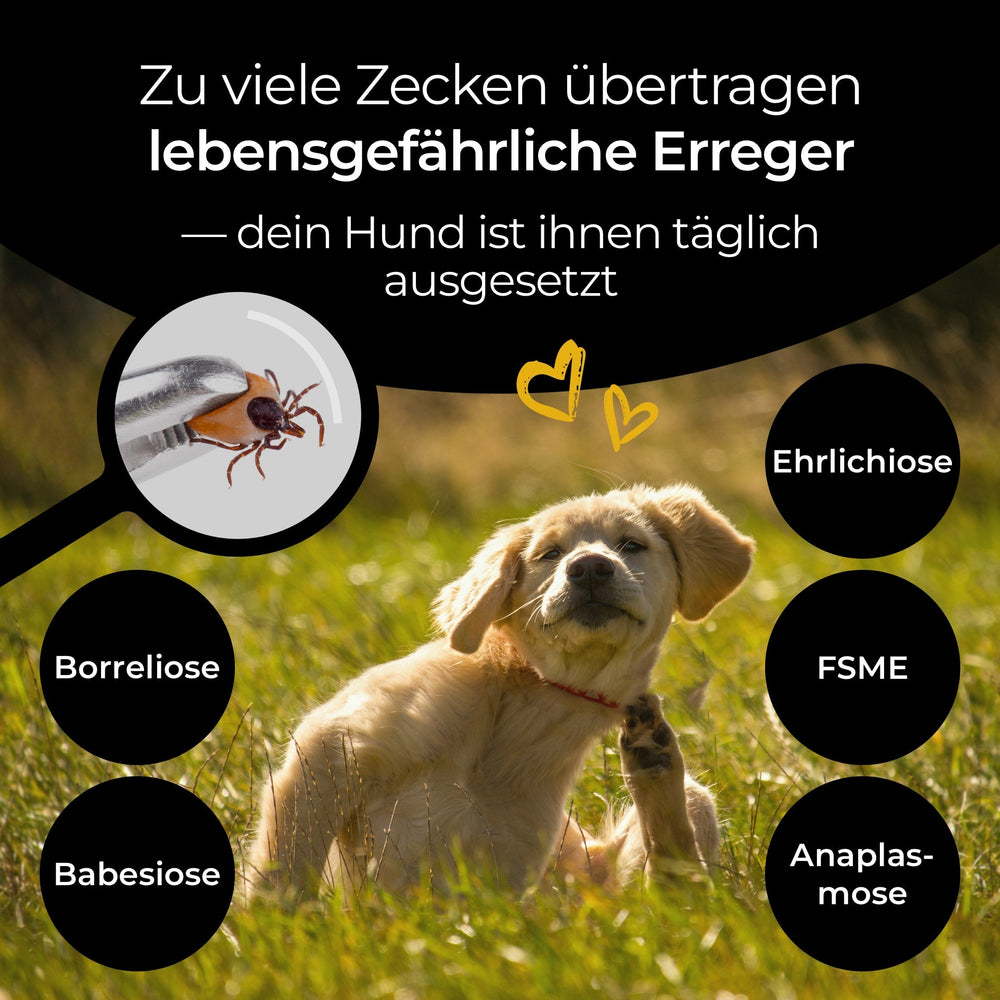 Zeckenschutz - Tropfen