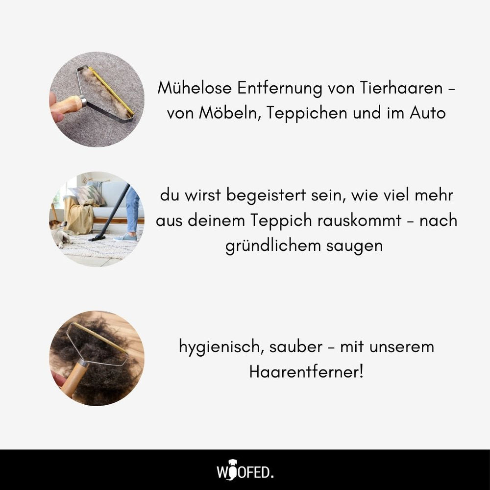 Haarentferner für mühelose Entfernung von Tierhaaren von Möbeln, Teppichen und Autos – effektiv und nachhaltig.