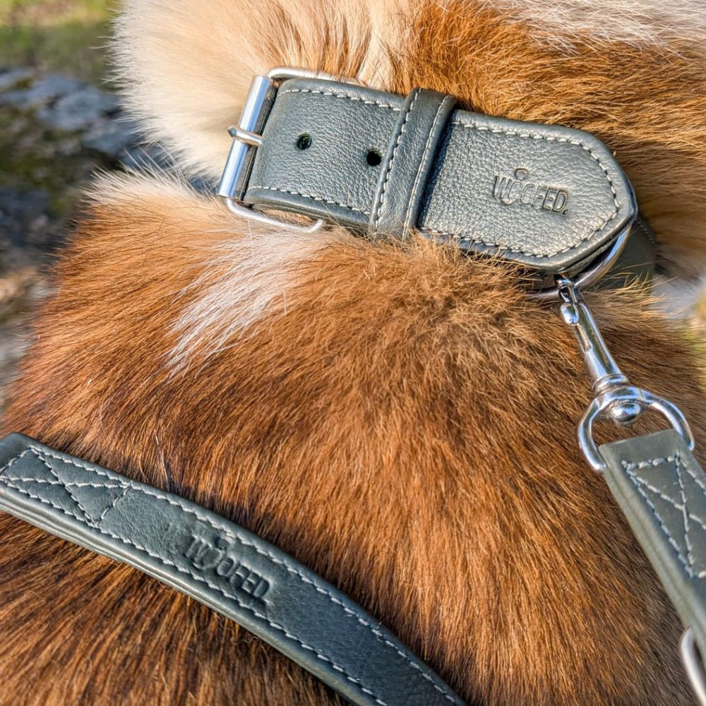 Elegantes graues Lederhalsband mit strukturierter Oberfläche und Metallclip für Hunde, auf braunem Fell Hintergrund.
