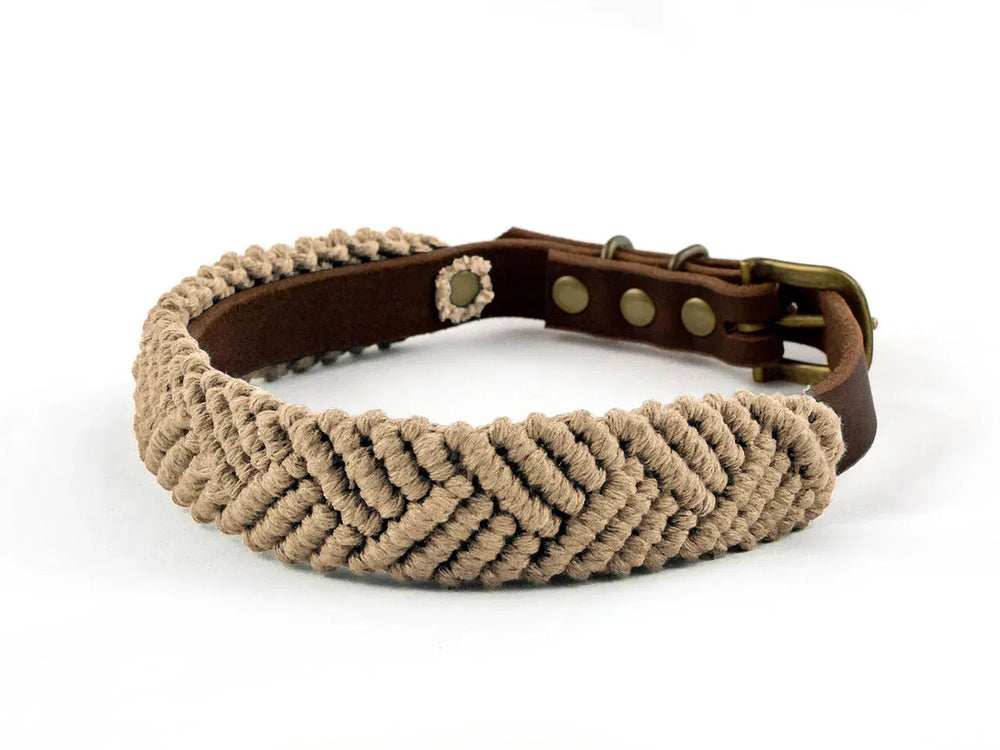 Beiges Makramee-Hundehalsband mit brauner Lederinnenseite und goldener Schnalle, im Boho-Stil.