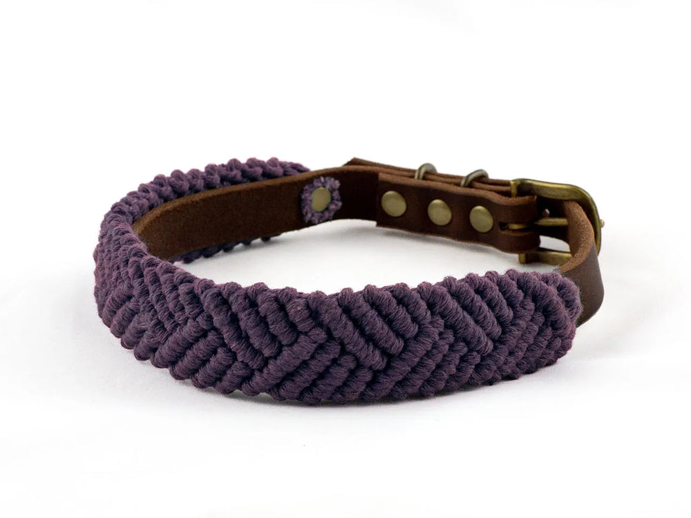 Hundehalsband 'Boho' aus lila Baumwolle und braunem Leder mit Schnalle und Druckknöpfen zur Größenanpassung.