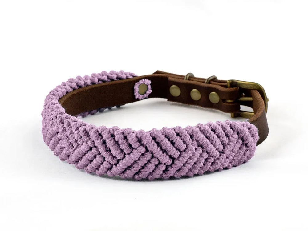 Lila Makramee Hundehalsband mit brauner Lederschließe und dekorativer geflochtener Struktur. Ideal für einen Boho-Look.