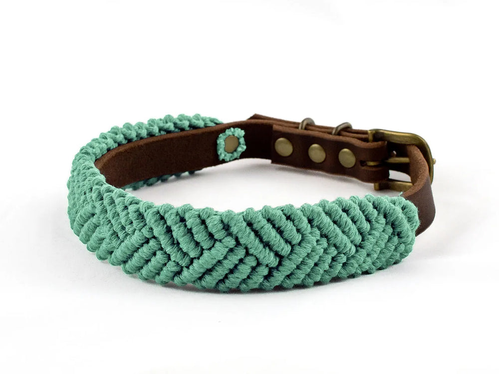 Mintgrünes Makramee-Hundehalsband aus Leder im Boho-Stil mit geflochtenem Muster und Druckschnalle.
