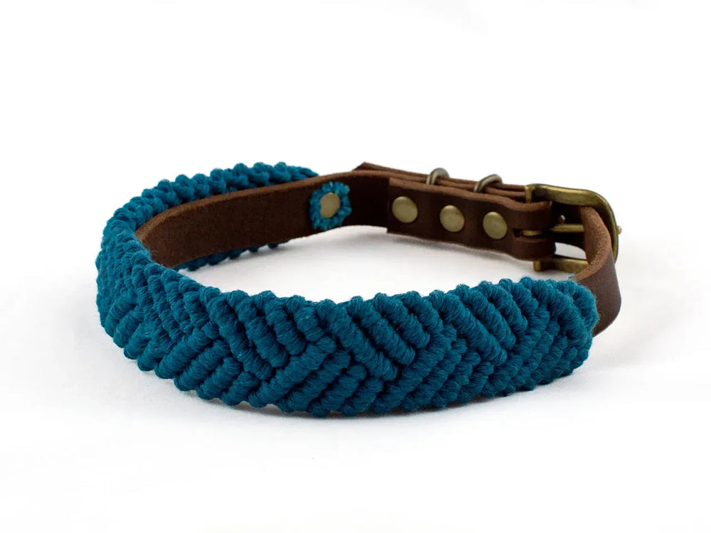 "Türkisfarbenes Makramee Hundehalsband aus Leder im Boho-Stil mit metallischen Druckknöpfen und Schmuckdetails."