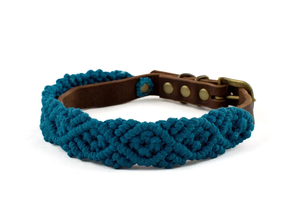 Hundehalsband 'Boho' aus türkisfarbenem Makramee mit braunem Lederunterlage und Metall-Schnalle. Ideal für stylische Hunde.