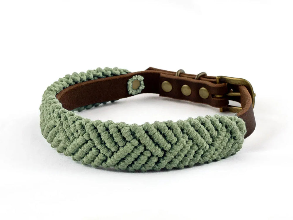 Grünes geflochtenes Makramee-Hundehalsband mit brauner Lederunterlage und goldfarbenem Druckknopfverschluss.