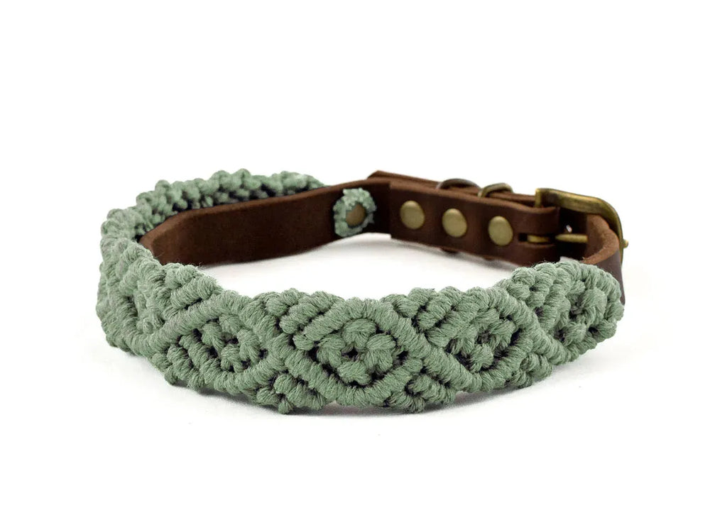 Halsband aus grünem Makramee mit braunem Leder und goldener Schnalle, ideal für einen stylishen Boho-Look mit Hund.