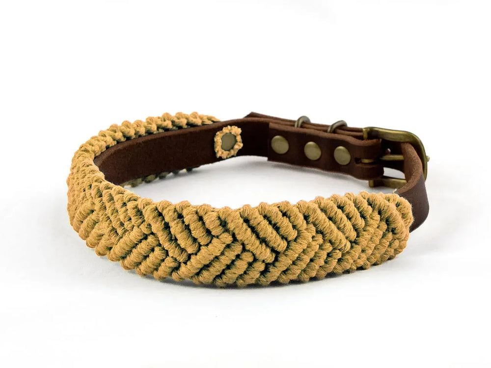 Braunes Lederhalsband mit khakifarbenem Makramee für Hunde, ausgestattet mit goldfarbener Schnalle und Druckknöpfen.