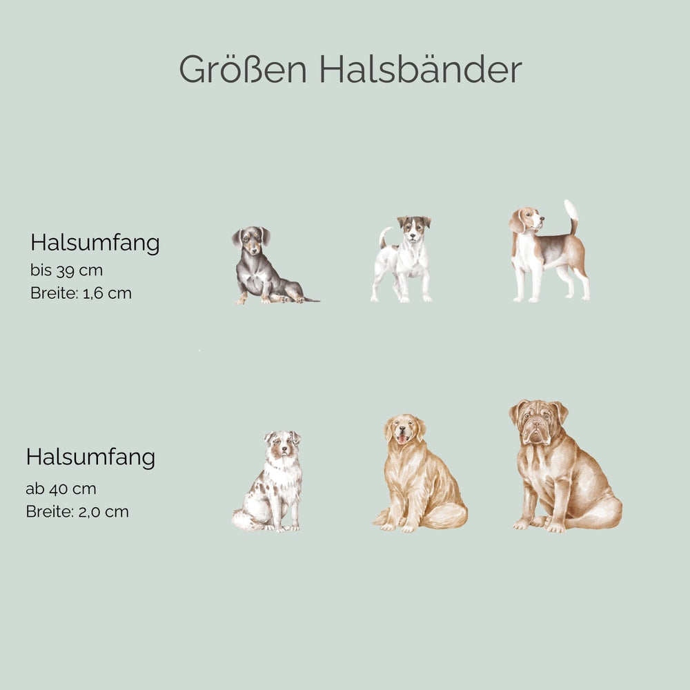 Übersicht der Größen für Zugstopp-Tauhalsbänder Ahoi für Hunde mit unterschiedlichen Halsumfängen.