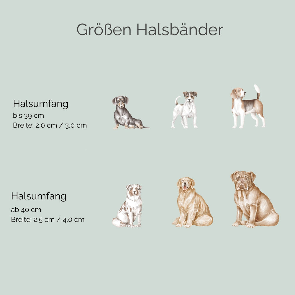 Übersicht der Größen für das Zugstopp Lederhalsband Waldgeist für Hunde mit Halsumfang bis 39 cm.